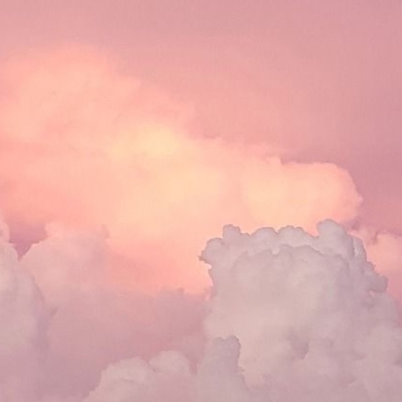 Meet your Posher, Tara - Picture 1 of 1